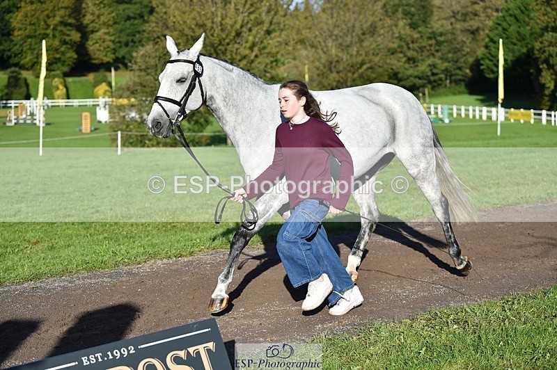 231022-100658-22246 - 453-SOURIS.DE.NESS-Darcy.Smith-TrotUp+SJ