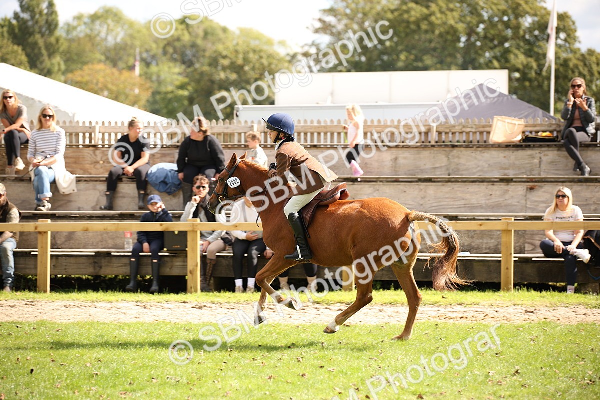 SBM_42272 - S13 - Pony Club Pony