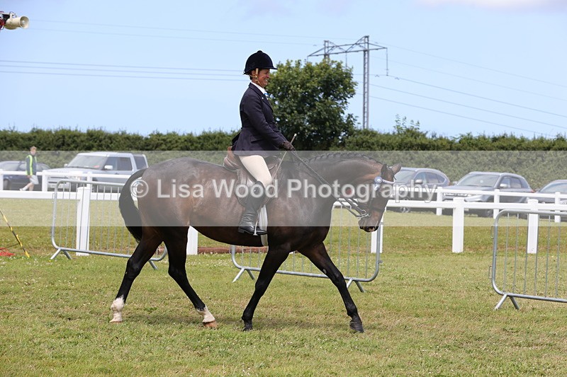 1X9A4396 - Class 34: Veteran Ridden