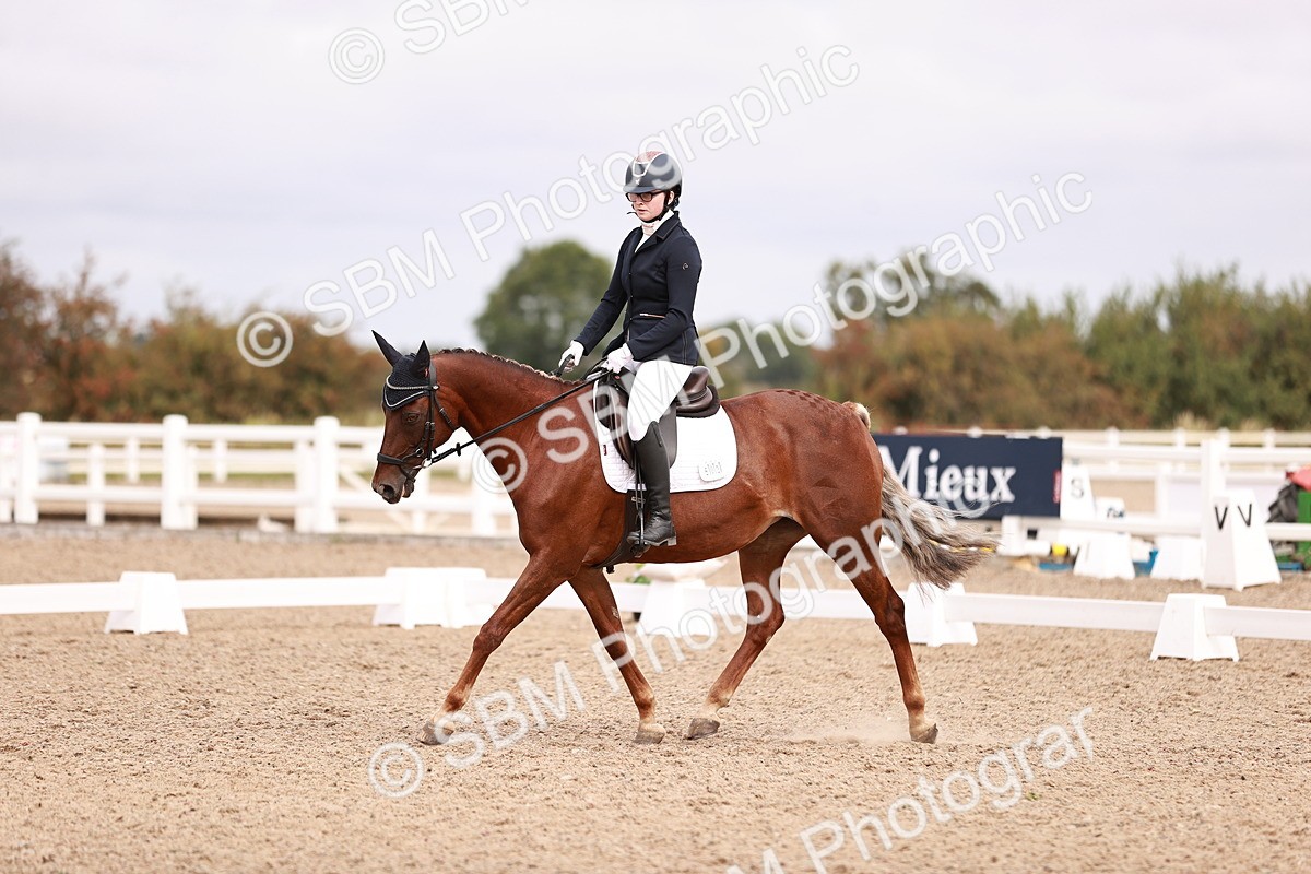 SBM_02428 - Class 35 - Intro 3