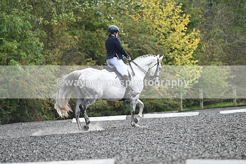 WJ7_6907 - Time 14:49 to 15:14