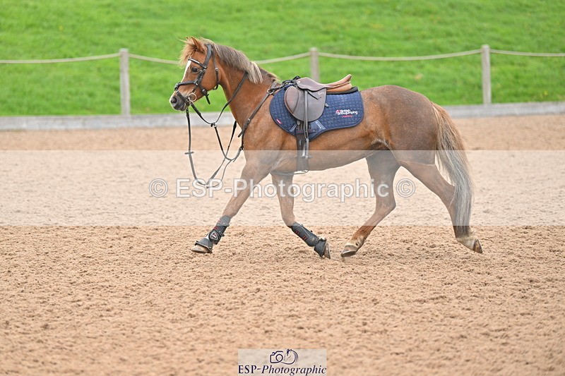 240505A-103017-03784 - Cls 2 Pony British Novice & 80cm Open