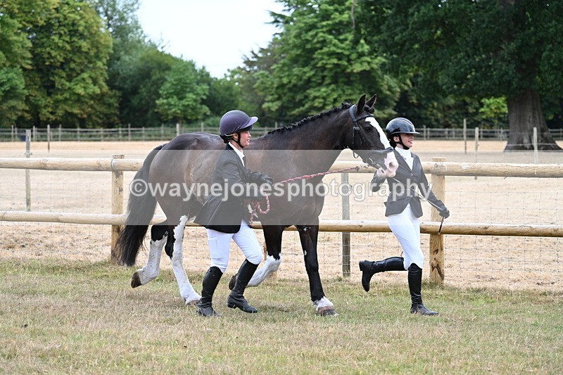 WJ7_8935 - Class 4a Prettiest Mare 14.2hh and over
