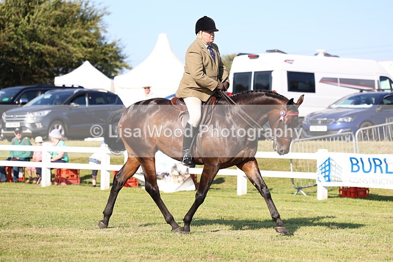 3E7A5285 - Class 2: Rising Star Large Hack/Riding Horse