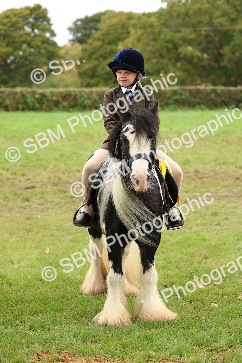 SBM_64670 - S58 - Coloured Pony Ridden