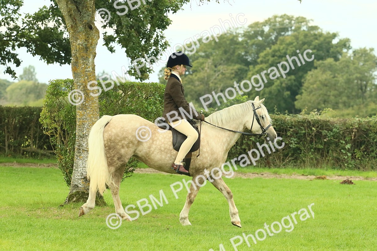SBM_71826 - S60 - Mountain & Moorland Ridden Large Breeds