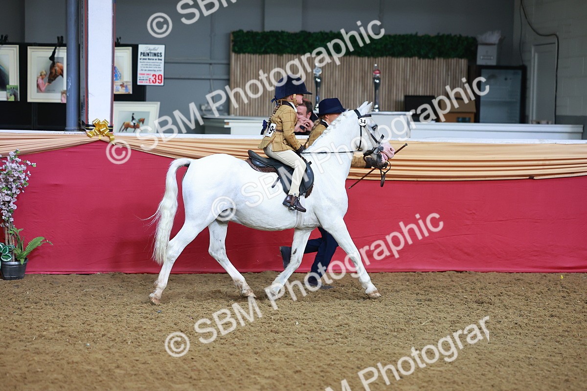 SBM_07662 - Class 101 - HOYS Veteran Qualifier - Ridden Diamond