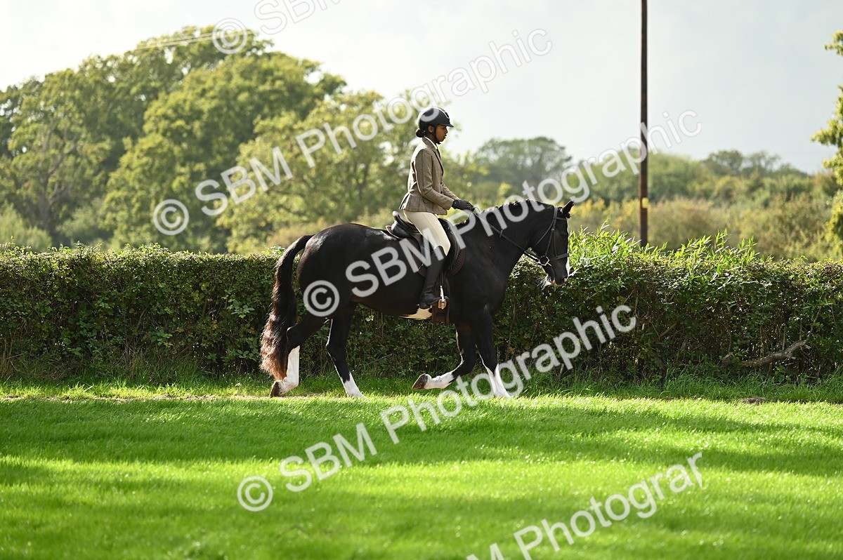 SBM_26308 - S6 - Novice & newcomer Ridden horse