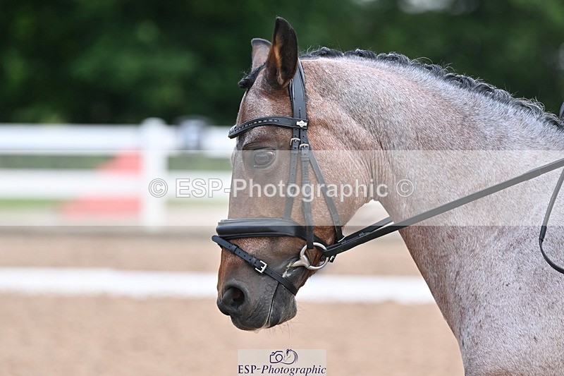 240623A-092858-16242 - Cls 45 BD Prelim 19