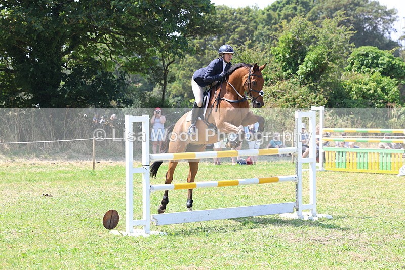 3E7A3328 - Class 10: Senior Foxhunter/1.20 open