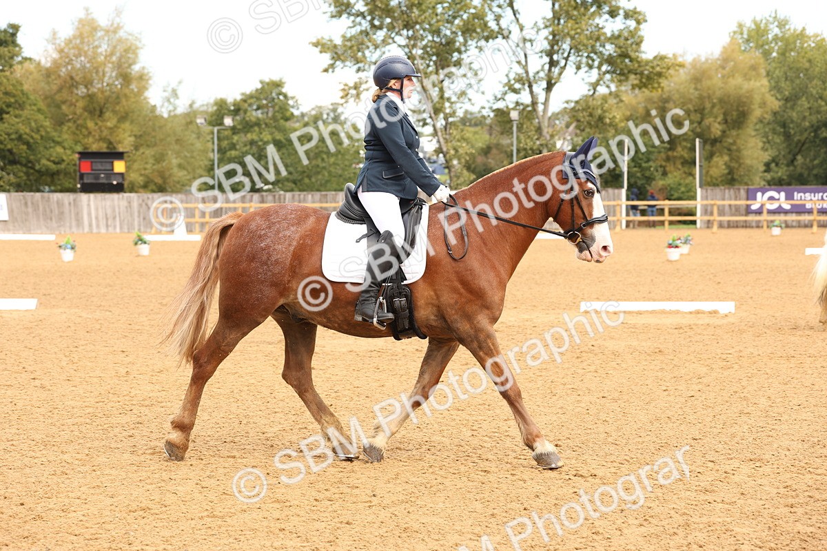 SBM_40621 - D6 - Small Tour Championship Intro 4