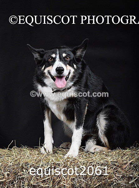 equiscot2061 - SKY & NELL