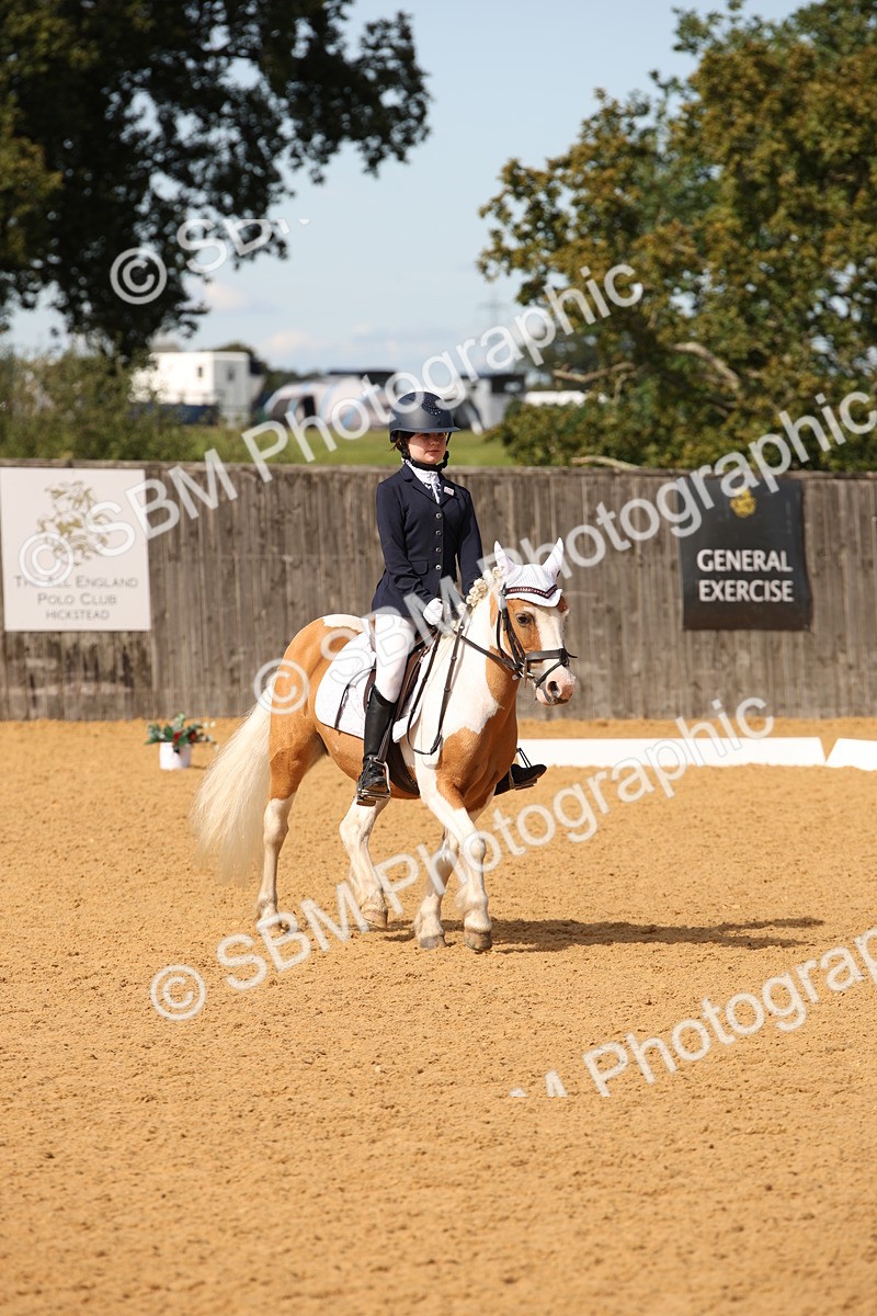 SBM_21792 - D5 - Small Tour Championship - Intro C