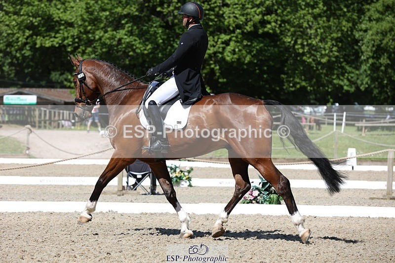 230526-105345-05342 - 365-BWE_NEWTON_DE_JASPER-Adam_Harvey-WEDTrotUp+DR