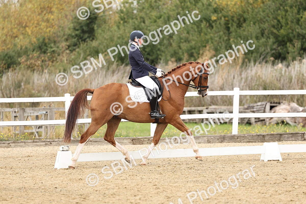 SBM_013121 - Class 3 - Novice 4 - 11.43-12.25