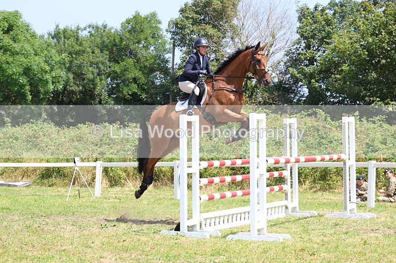 3E7A3322 - Class 10: Senior Foxhunter/1.20 open