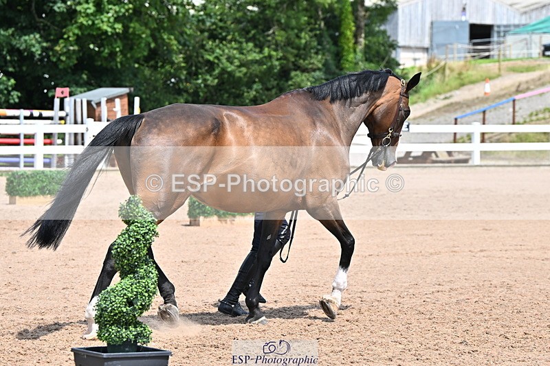 240718A-105319-01841 - Trot Up 1pm to 2pm