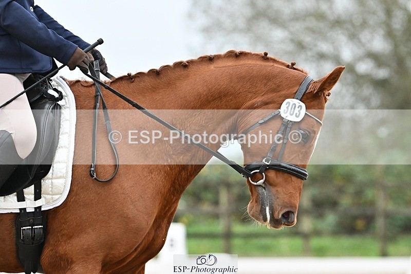 241103-141939-01938 - Novice 1 - 13.10 to 14.34