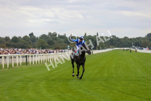 230823-Race 4-Mostahdaf-4317 - Race 4 3.35pm Juddmonte International Stakes