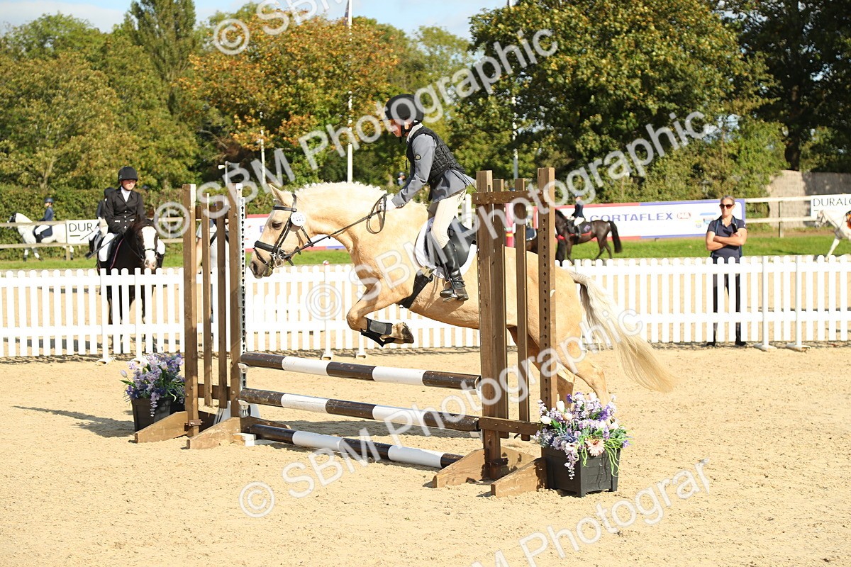 SBM_49553 - J7 - Junior Pony 60cm Championship
