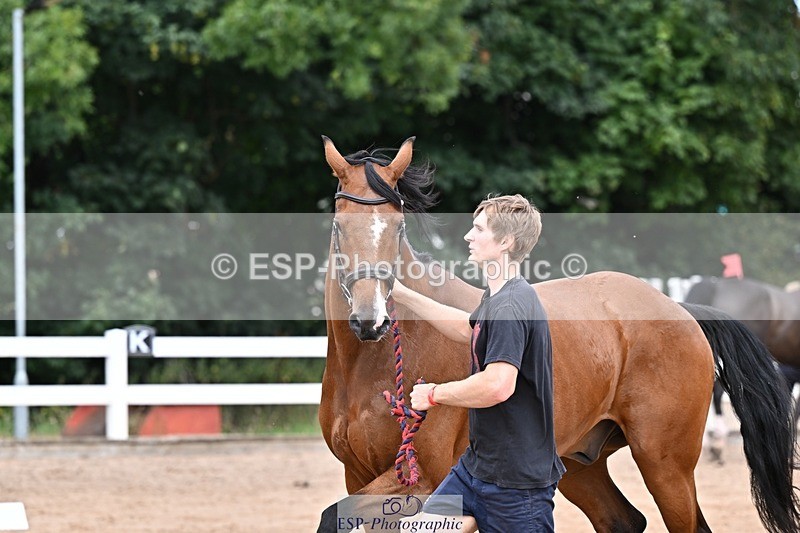 250716-135048-00695 - Trot Up 1.30 to 2.30