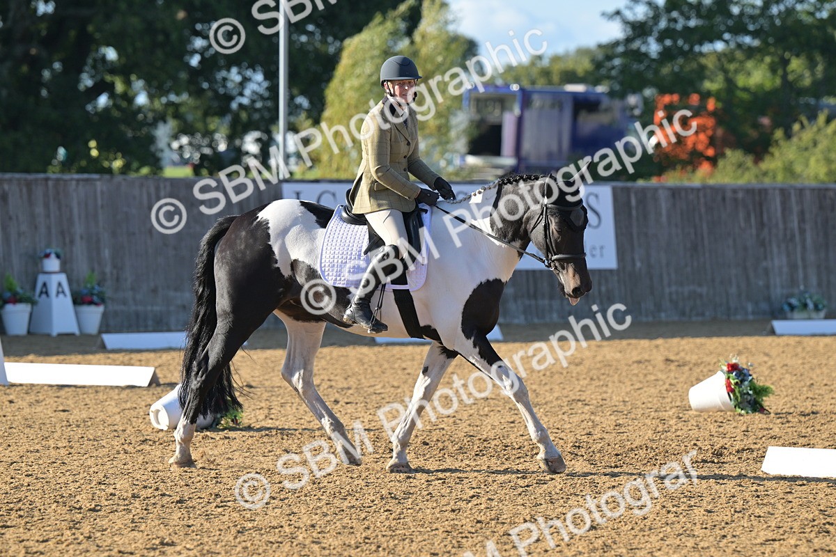 SBM_13067 - D3 - Small Tour Championship Intro 3