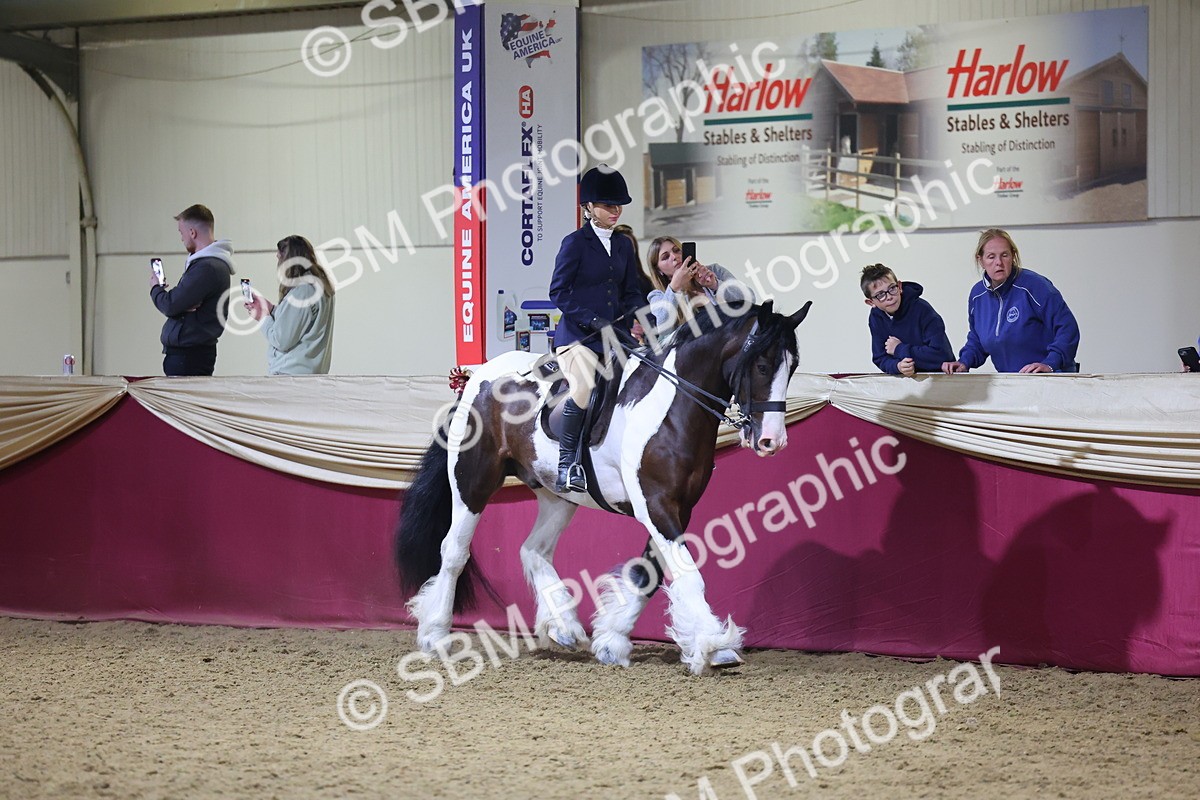 0B8A4624 - Class R Working Veteran Champ