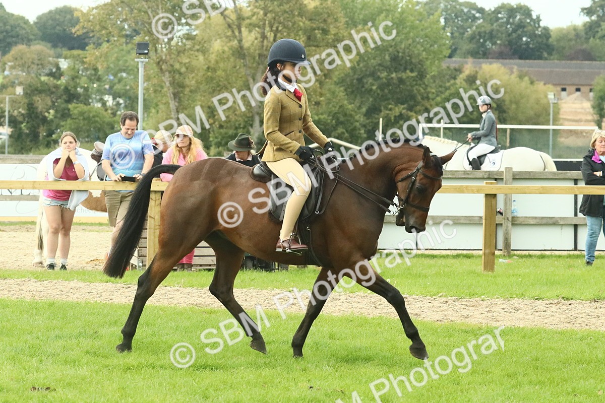 SBM_74091 - S 61 - Show Pony & Show Hunter Pony Ridden