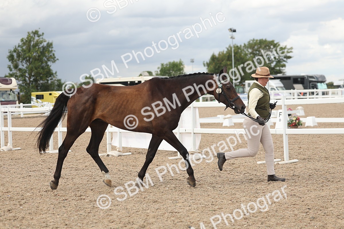 SBM_06888 - Class 25 - IH Foreign Breeds - Purebred