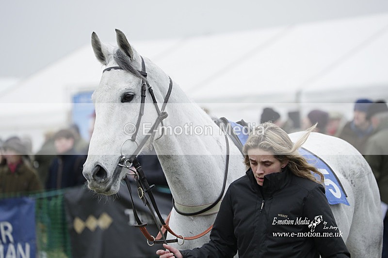 PtP 040323 513 - Duke of Beauforts Hunt Point-to-Point Didmarton 04/03/23