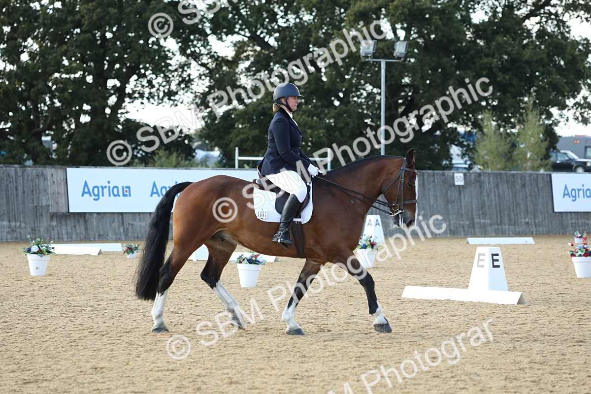 SBM_28664 - D20 - Grand Tour Championship - Elementary 44