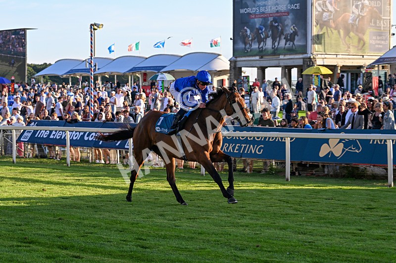 240726-Race 5-Diamond Rain-5502 - Race 5 19.50pm British EBF Lyric Fillies' Stakes