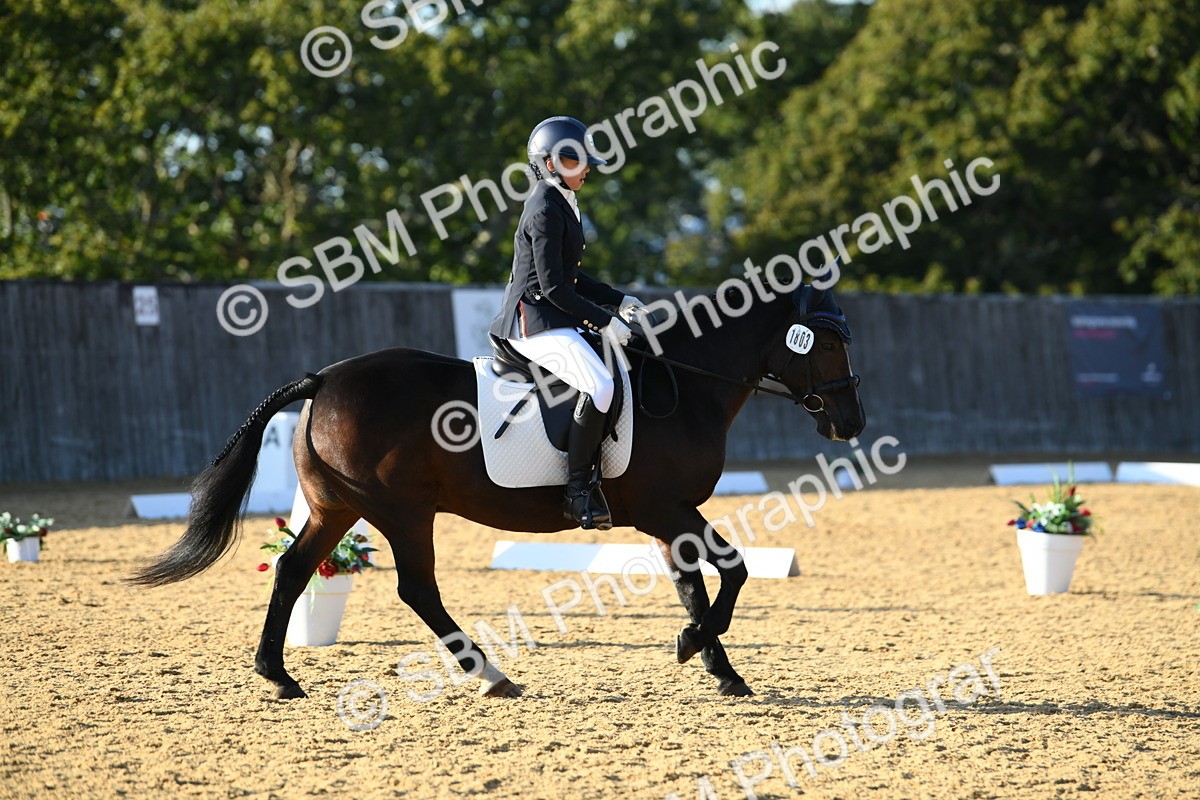 SBM_30770 - D16 - Small Tour Championship - Novice 28