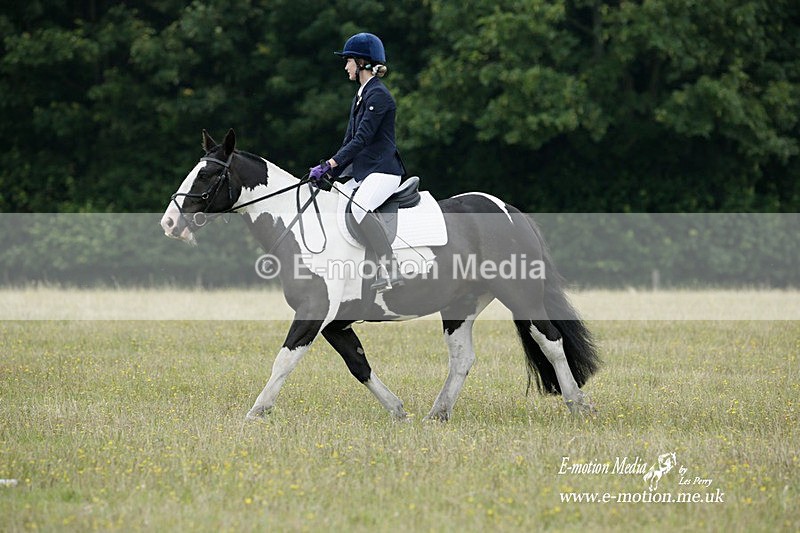 BVRC 030721 26 - Bourne Valley Riding Club Dressage 03/07/21