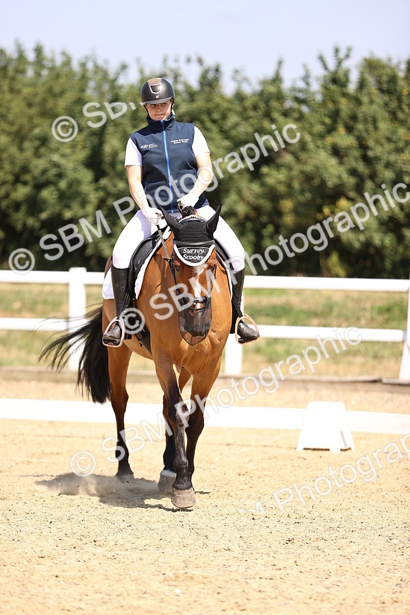 SBM_003982 - Intro 2