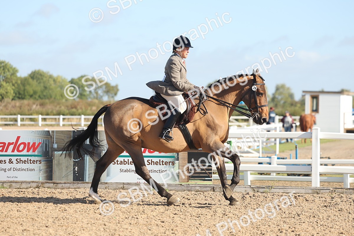 SBM_22299 - Class 803 - Ridden Combination 65+