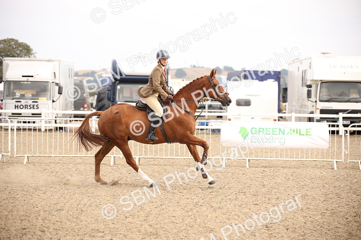 SBM_17083 - Class 409b - Working Veteran 80cm (20+)