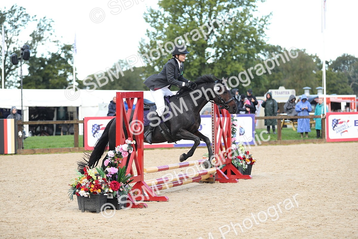 SBM_37273 - J20 - Junior Horse 50cm Championship
