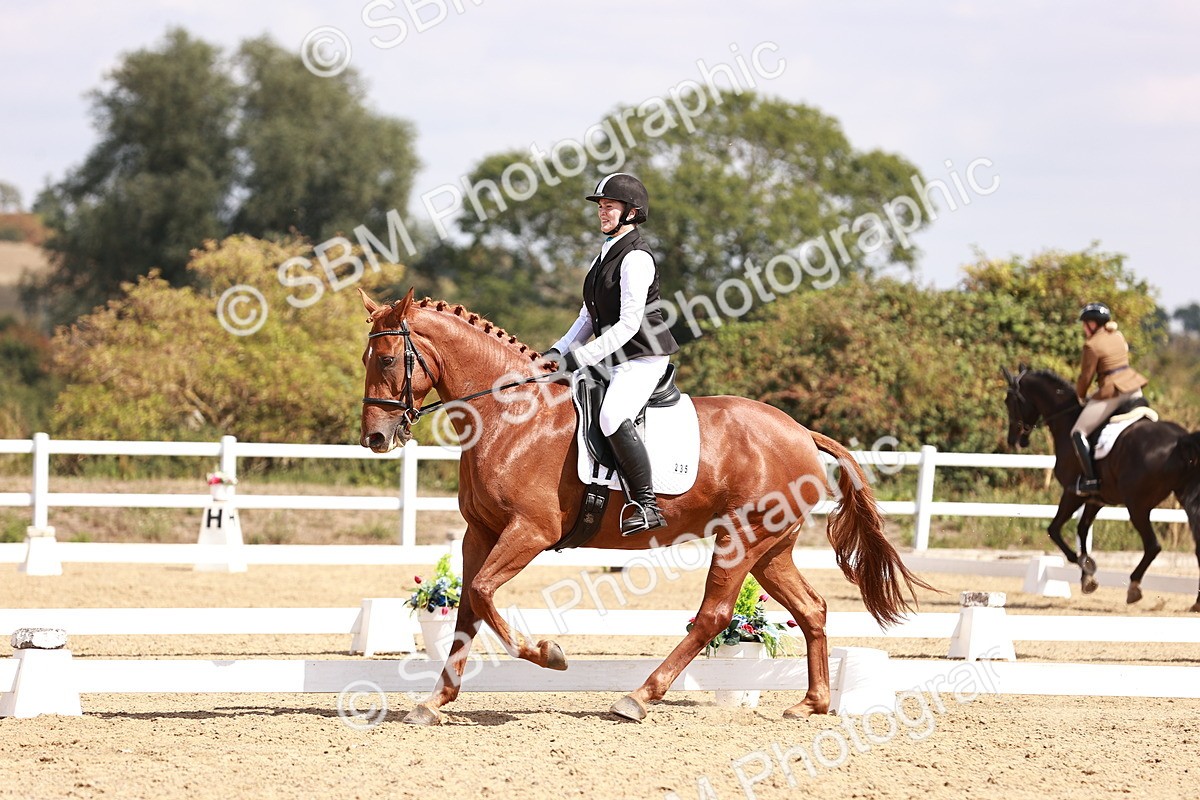 SBM_018500 - Class 17 - Novice 6