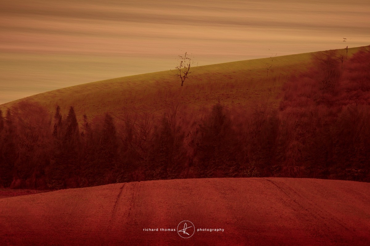 Redhill - ALTERED REALITY