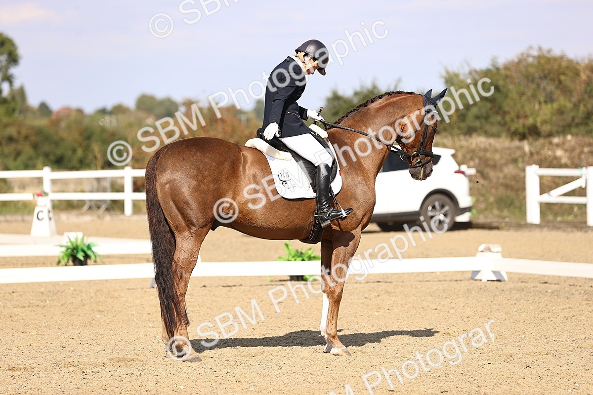 SBM_015260 - Class 8 - Medium 5