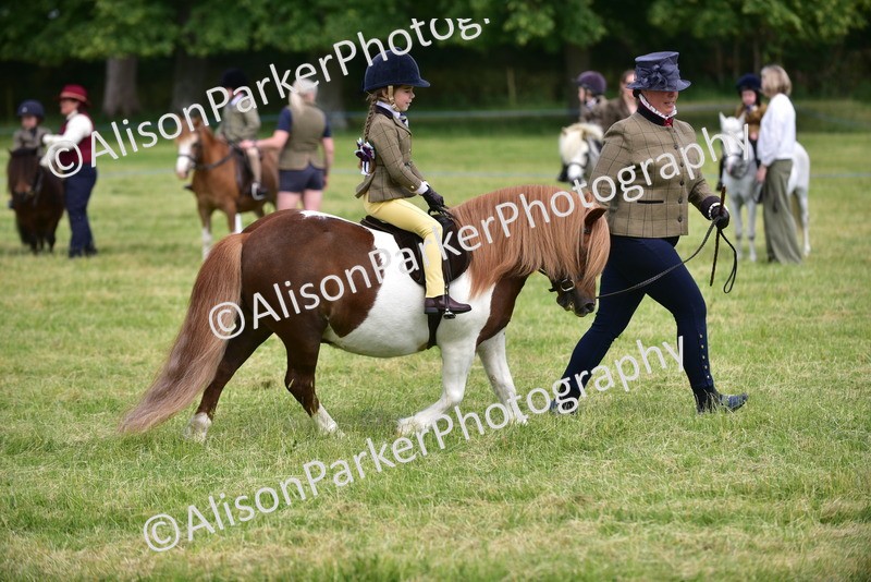 20260614-1267 - Class 11a - Lead Rein Pony (Unplaited)