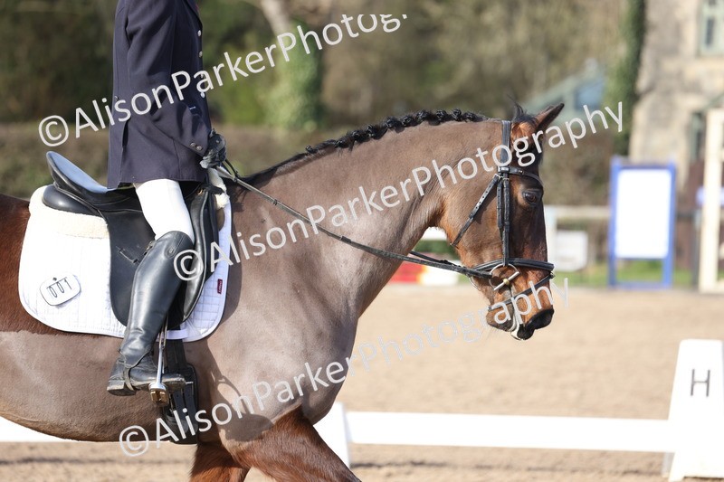 20260214-0661 - Class 6 - Elementary 1