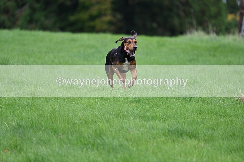 WJ7_4316 - Camera 1 Line 3