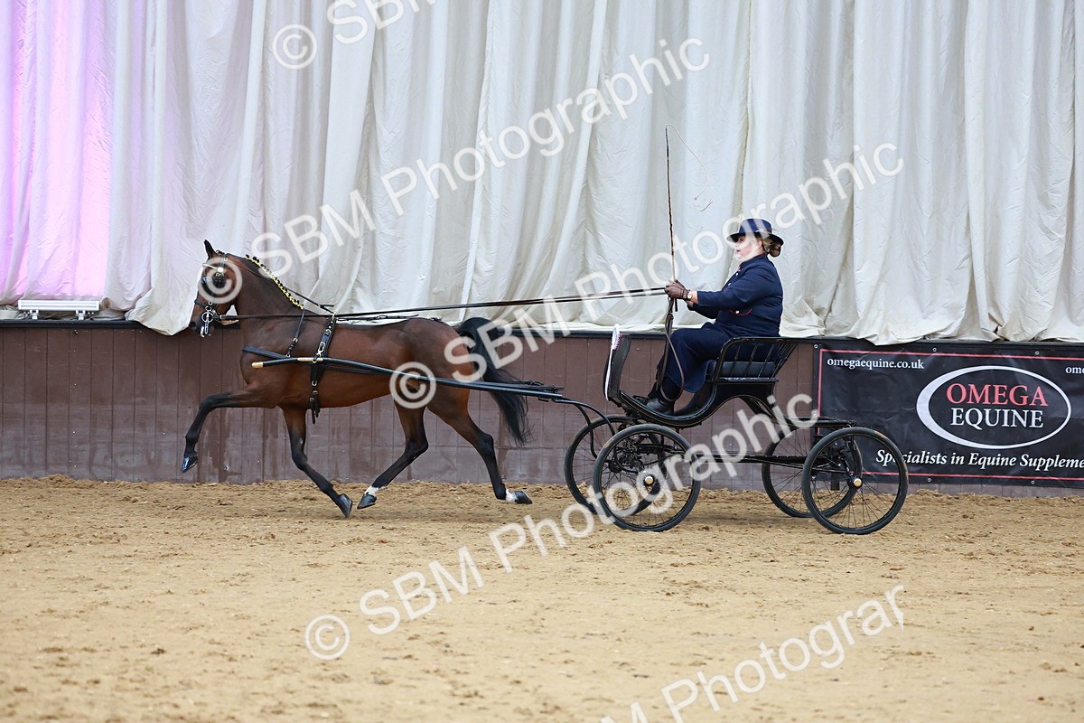 SBM_000680 - Class 9 - HHS Championship Intl Hackney Pony to a Showwagon