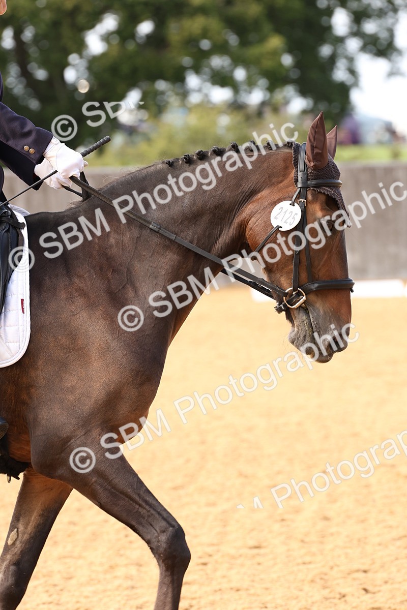 SBM_09042 - D30 - Small Tour PYO Open