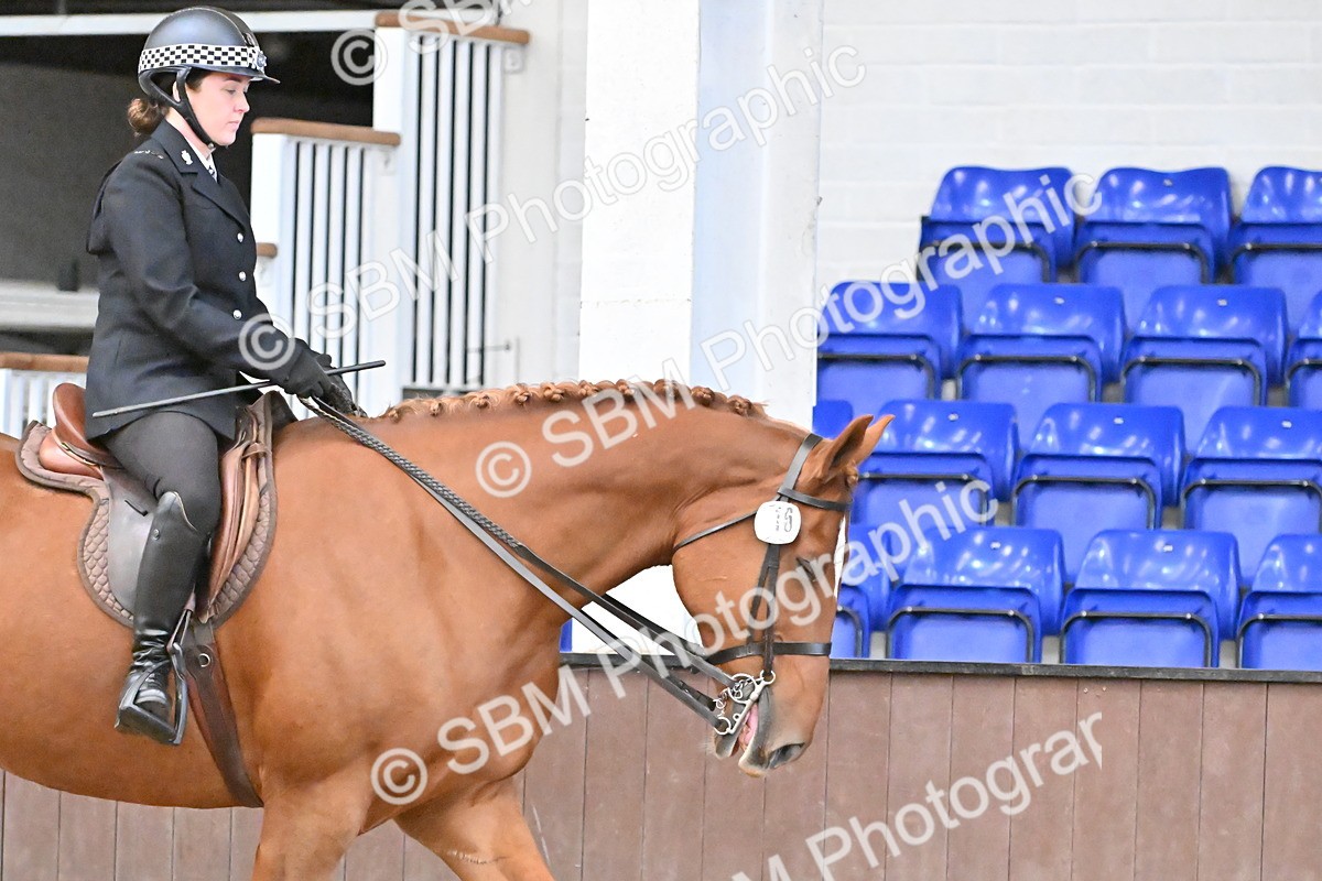 SBM_001500 - Class 30,31 - SSADL Ridden Seniors