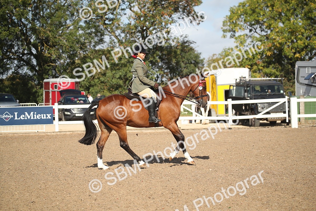 SBM_22711 - Class 601 - 2026 - Area - Ridden Diamond