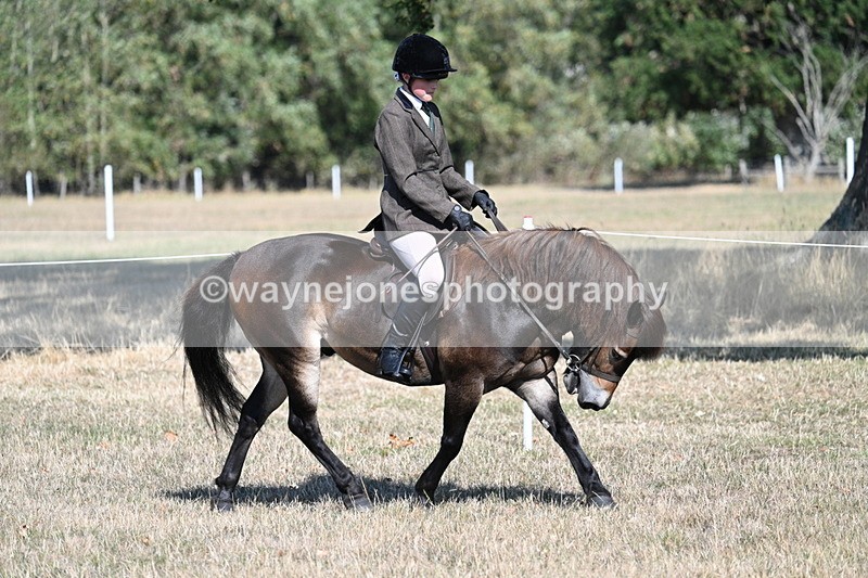 WJ7_3478 - Class 9 Mountain & Moorland Ridden