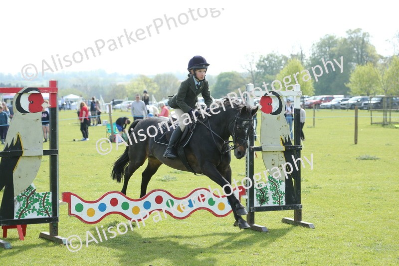 20260426-1485 - Class 14 - Novice 60cm